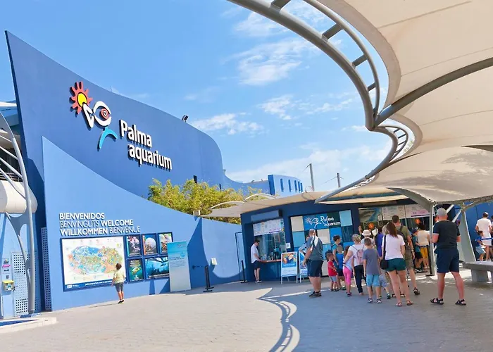 Vila Llinya 7 El Arenal (Mallorca)